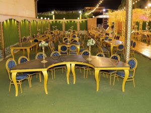 قريه دهب المنوفية - 4