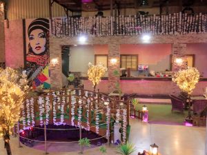 قرية الماسة الدقهلية - 6