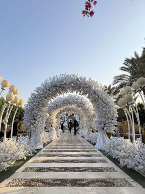 قرية الماسة قويسنا - 4