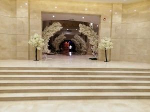 قاعة بريمير فيستيفال لاند أسيوط - 2