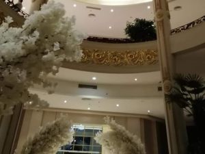 قاعة بريمير فيستيفال لاند أسيوط - 3