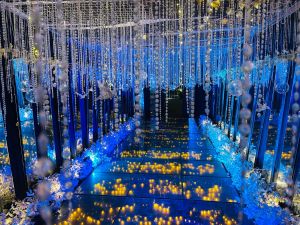 قاعة جراند ستار اسيوط - 5