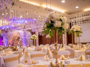 قاعة ياسمين فندق هلنان دريم الجيزة Helnan Dream Hotel Giza - 13