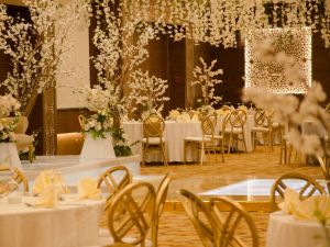 قاعة ياسمين فندق هلنان دريم الجيزة Helnan Dream Hotel Giza - 15