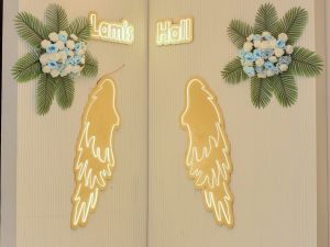 قاعه لميس بنى سويف - 4