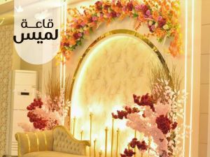 قاعه لميس بنى سويف - 5