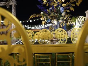 قاعات نايل ستار - 6