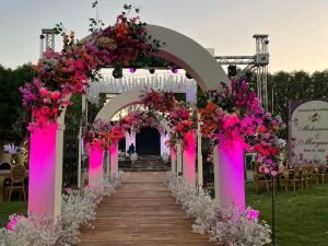 قاعة اوركيد سيتي اسيوط - 20