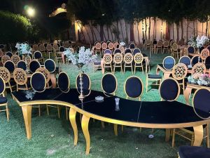 قاعة اوركيد سيتي اسيوط - 21