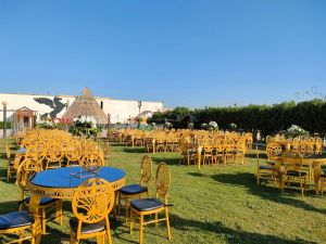 قاعة اوركيد سيتي اسيوط - 22