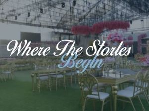 قاعه بيرلا - طنطا - 12