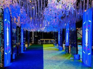 قاعه ريجينسي دمياط - 8