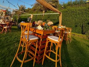 حفل زفاف ريفانا على ضفاف النيل - 12