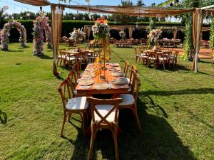 حفل زفاف ريفانا على ضفاف النيل - 8