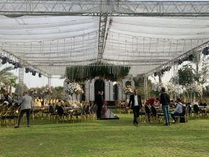 فيري جاردن دريم لاند - 9