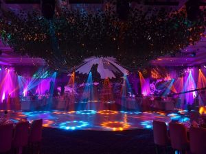 قاعات سفير الاسكندرية - 4