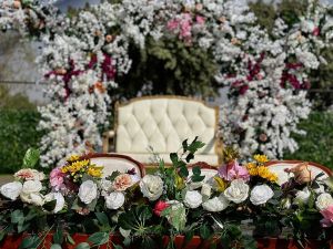 The garden venue - 24