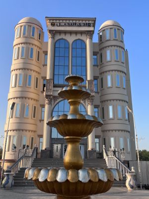 لاف ستوري قرية وادي النخيل طنطا - 10