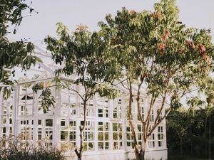 فيلا زيا - 14