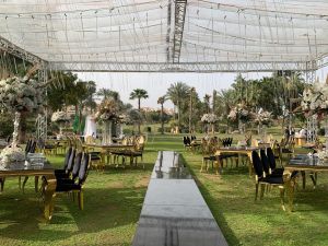 فيري جاردن دريم لاند - 5