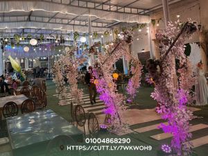 قاعة زهرة - 12