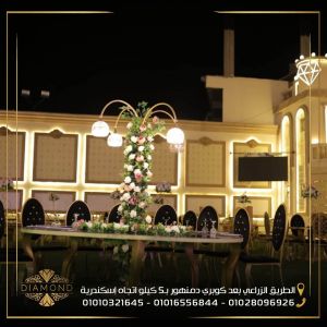 قاعة دايموند دمنهور - 4