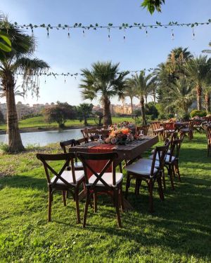 فيري جاردن دريم لاند - 8