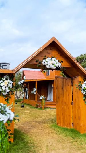 تري هاوس عرابي