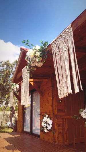 تري هاوس عرابي - 5