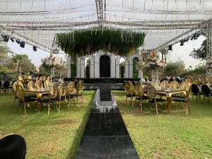 فيري جاردن دريم لاند - 6