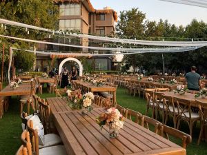 كايان هافن عرابي