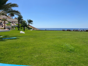 قاعات مناسبات منتجع موڤنبيك شرم الشيخ - 3