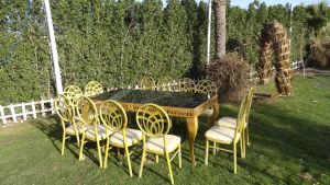 قاعة رويال بلازا المنوفية - 4