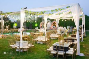 قاعة فلورا | طنطا - 8