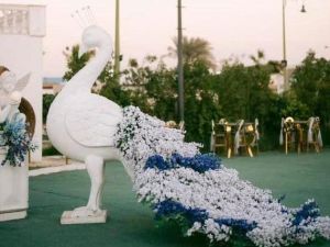 سوليتير بالاس الجلاء