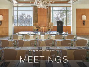 قاعات الاجتماعات فور سيزون نايل بلازا