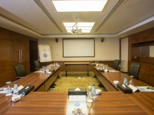 قاعات الاجتماعات فندق نوفوتيل مطار القاهرة - 4