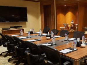 قاعات الاجتماعات فندق نايل ريتز كارلتون - 3