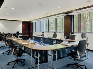 قاعات الاجتماعات هوليداى ان المعادى - 4