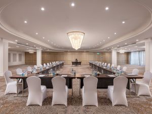 قاعات الاجتماعات هوليداى ان المعادى - 6