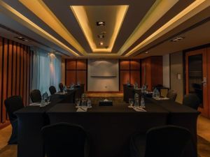 قاعات الاجتماعات فندق راديسون بلو القاهرة هليوبوليس - 3