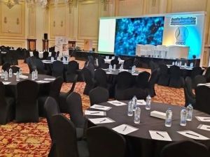 قاعة المؤتمرات فندق جولدن جويل الاسكندرية - 3