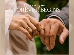 توليب فاميلي برج العرب - 4