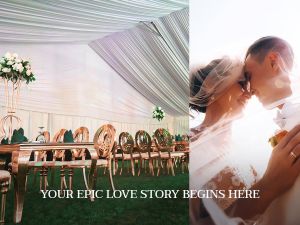 توليب فاميلي برج العرب - 5