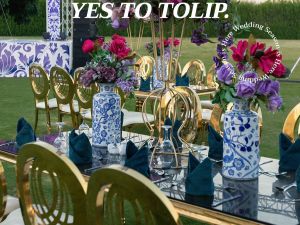 توليب فاميلي برج العرب - 7