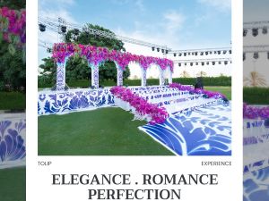 توليب فاميلي برج العرب - 8