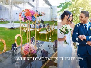 توليب فاميلي برج العرب - 10