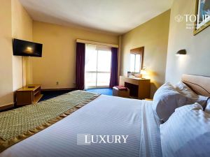 توليب فاميلي برج العرب - 6