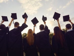 توليب فاميلي برج العرب - 9