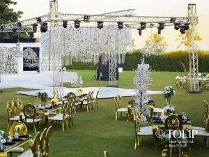 توليب فاميلي برج العرب - 12